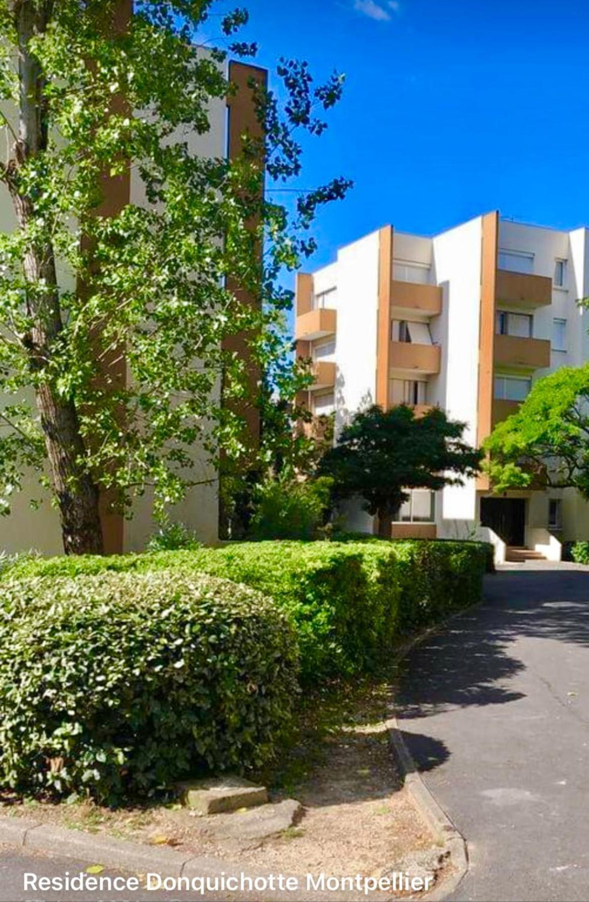 Apartamento Don Quichotte Montpellier Exterior foto